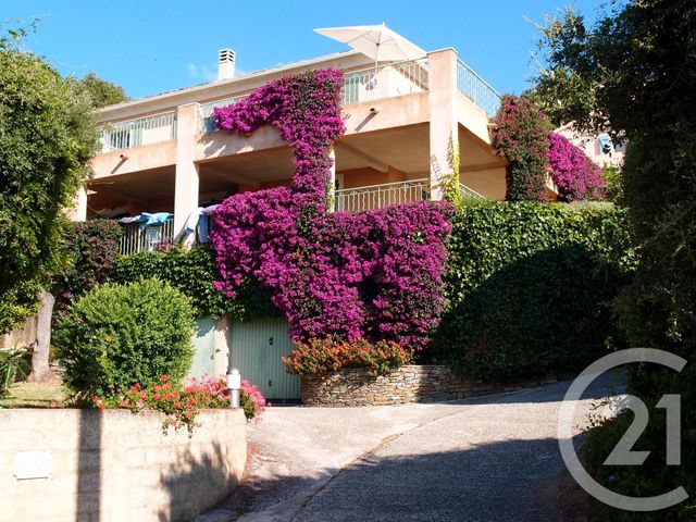 appartement - BRANDO - 20