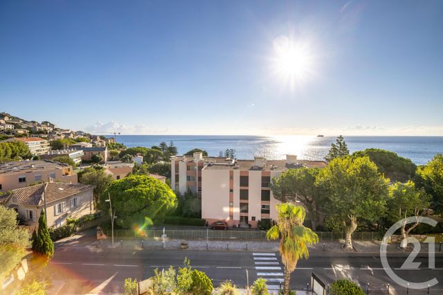 Appartement T1 à louer - 1 pièce - 29.0 m2 - SAN MARTINO DI LOTA - 20 - CORSE - Century 21 Jade Immobilier