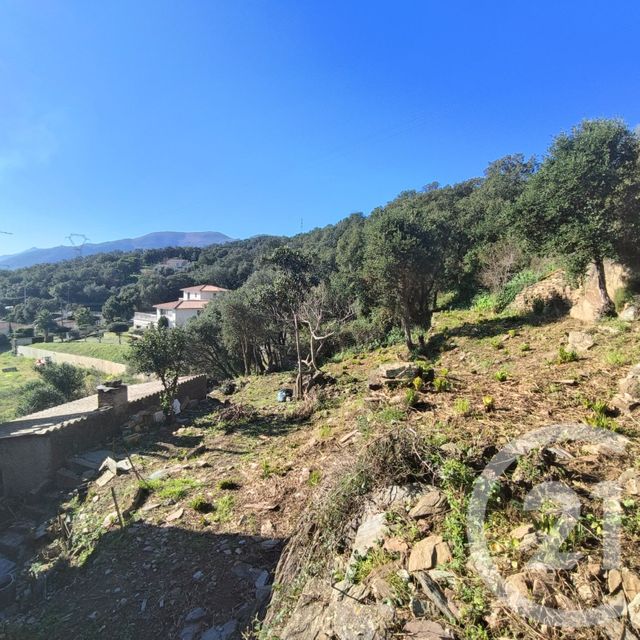 maison à vendre - 5 pièces - 132.6 m2 - BASTIA - 202 - CORSE - Century 21 Jade Immobilier