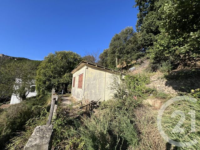 terrain à vendre - 1500.0 m2 - BASTIA - 202 - CORSE - Century 21 Jade Immobilier