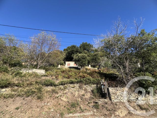 terrain à vendre - 1500.0 m2 - BASTIA - 202 - CORSE - Century 21 Jade Immobilier