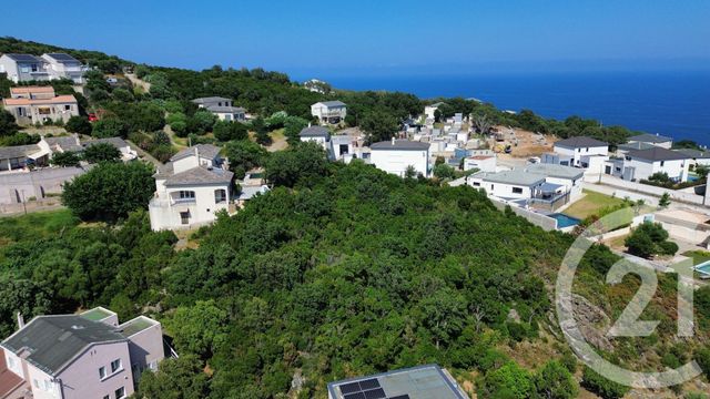 terrain à vendre - 2792.0 m2 - SANTA MARIA DI LOTA - 202 - CORSE - Century 21 Jade Immobilier