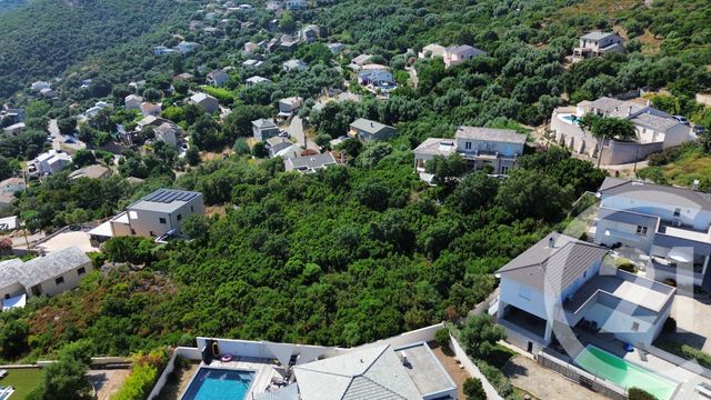 terrain à vendre - 2792.0 m2 - SANTA MARIA DI LOTA - 202 - CORSE - Century 21 Jade Immobilier