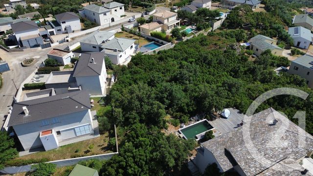 terrain à vendre - 2792.0 m2 - SANTA MARIA DI LOTA - 202 - CORSE - Century 21 Jade Immobilier
