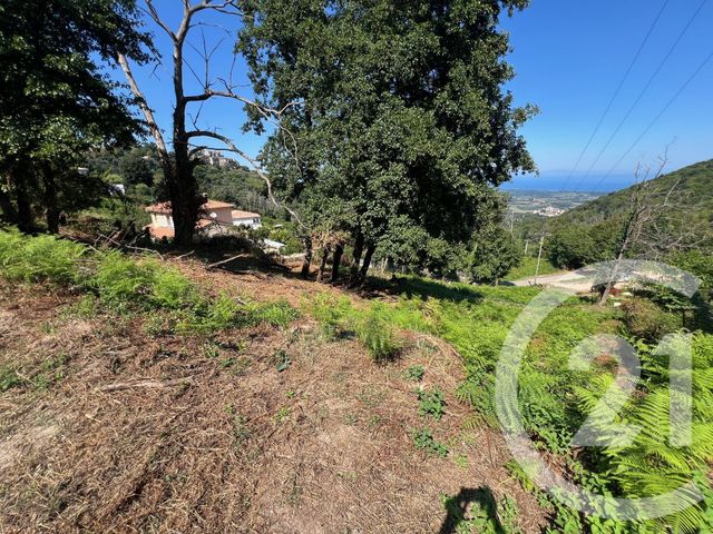 terrain à vendre - 1135.0 m2 - PENTA DI CASINCA - 202 - CORSE - Century 21 Jade Immobilier