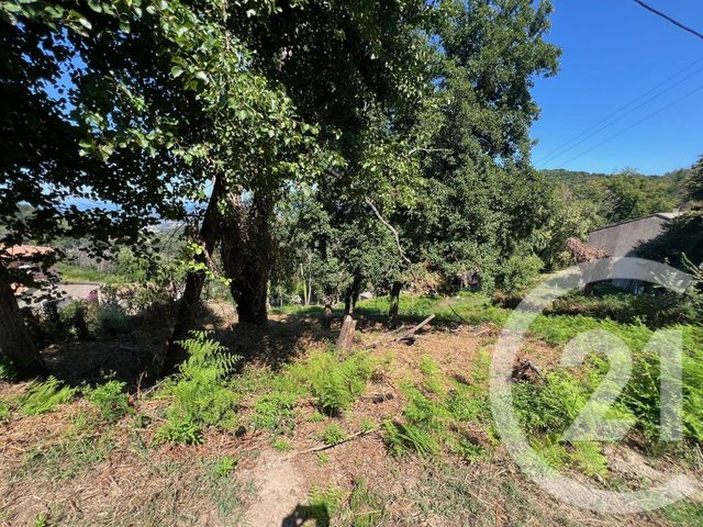terrain à vendre - 1135.0 m2 - PENTA DI CASINCA - 202 - CORSE - Century 21 Jade Immobilier