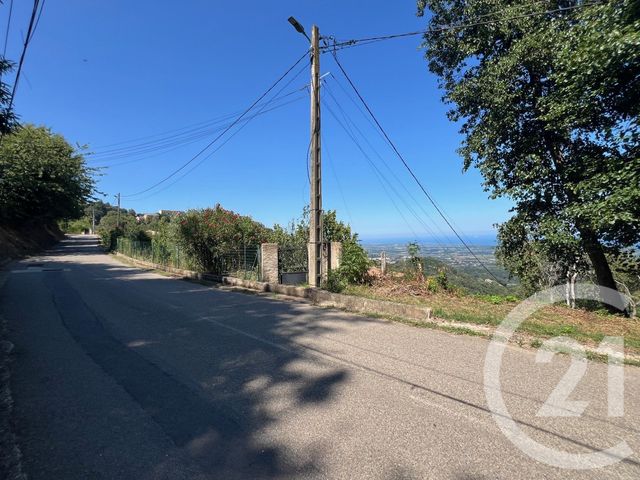 terrain à vendre - 1135.0 m2 - PENTA DI CASINCA - 202 - CORSE - Century 21 Jade Immobilier
