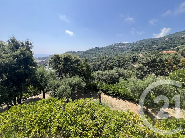 maison à vendre - 6 pièces - 220.0 m2 - VILLE DI PIETRABUGNO - 202 - CORSE - Century 21 Jade Immobilier