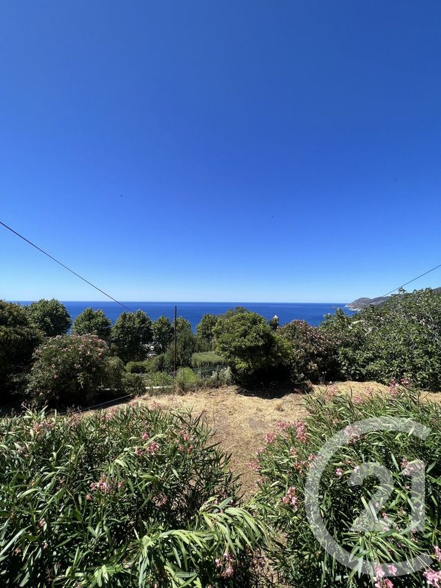 maison à vendre - 9 pièces - 260.0 m2 - PINO - 202 - CORSE - Century 21 Jade Immobilier