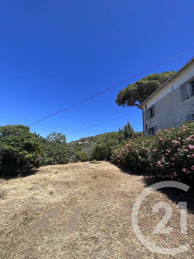 maison à vendre - 9 pièces - 260.0 m2 - PINO - 202 - CORSE - Century 21 Jade Immobilier