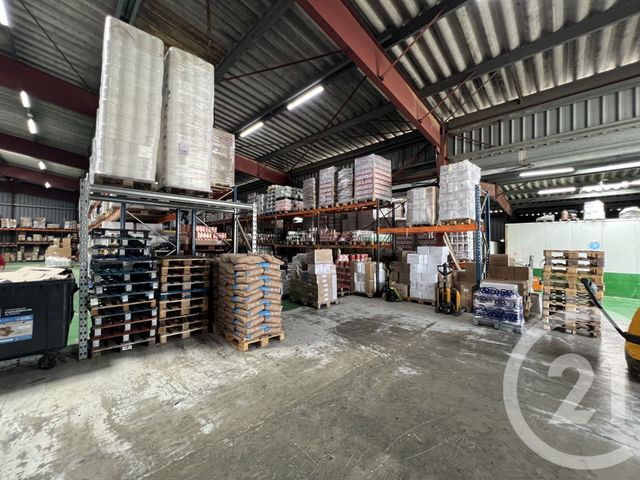 divers à vendre - 1900.0 m2 - FURIANI - 202 - CORSE - Century 21 Jade Immobilier