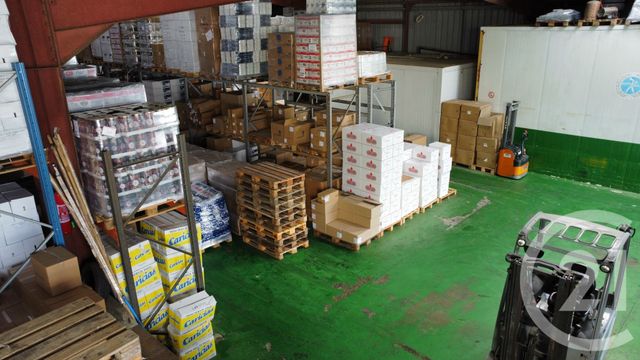 divers à vendre - 1900.0 m2 - FURIANI - 202 - CORSE - Century 21 Jade Immobilier