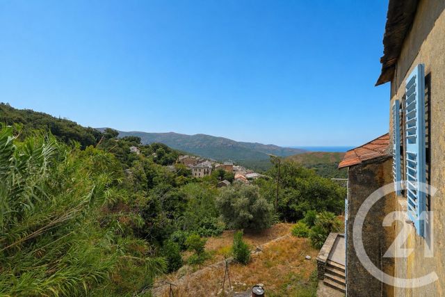 maison à vendre - 10 pièces - 150.0 m2 - PIETRACORBARA - 202 - CORSE - Century 21 Jade Immobilier