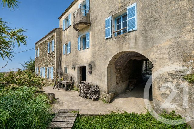 maison - PIETRACORBARA - 202
