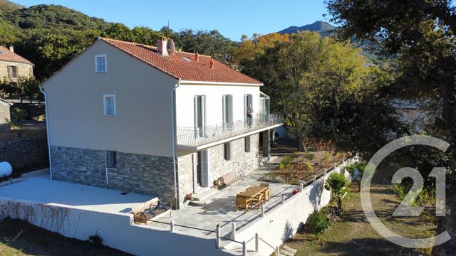 maison à vendre - 7 pièces - 210.0 m2 - PATRIMONIO - 202 - CORSE - Century 21 Jade Immobilier