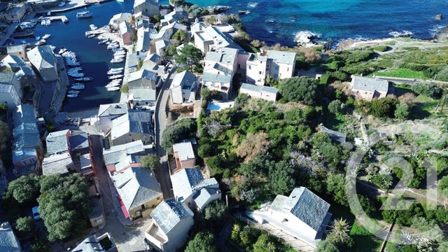 Terrain à vendre CENTURI