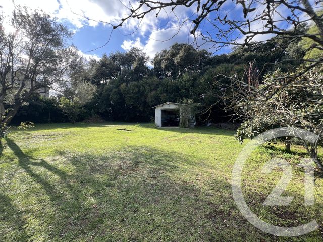 maison à vendre - 7 pièces - 240.0 m2 - VESCOVATO - 202 - CORSE - Century 21 Jade Immobilier