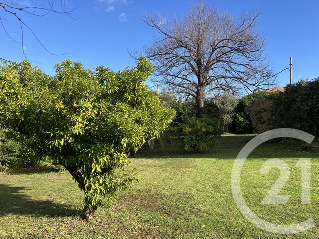 maison à vendre - 7 pièces - 240.0 m2 - VESCOVATO - 202 - CORSE - Century 21 Jade Immobilier