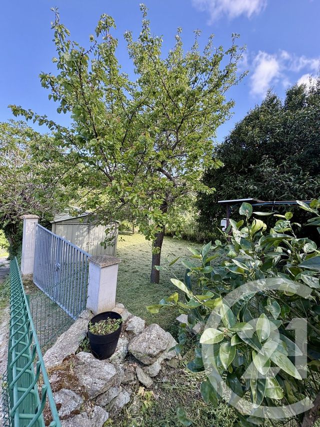 appartement - SANTO PIETRO DI TENDA - 202
