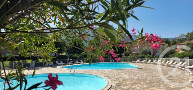 Appartement T3 à louer - 3 pièces - 49.0 m2 - SANTA MARIA POGGIO - 202 - CORSE - Century 21 Jade Immobilier