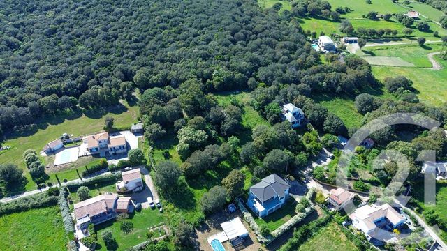 terrain à vendre - 2629.0 m2 - ROGLIANO - 202 - CORSE - Century 21 Jade Immobilier