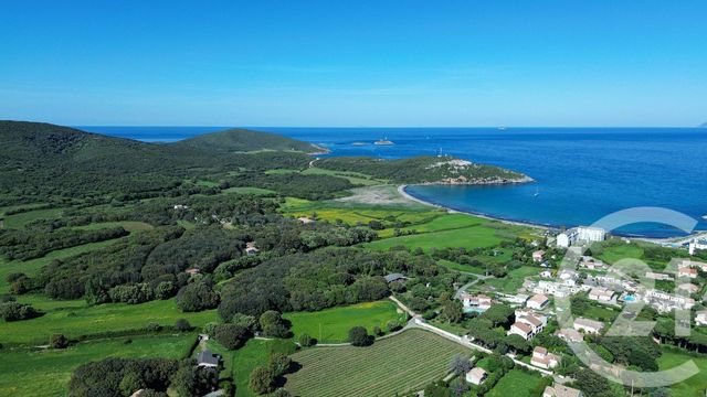 terrain à vendre - 2629.0 m2 - ROGLIANO - 202 - CORSE - Century 21 Jade Immobilier
