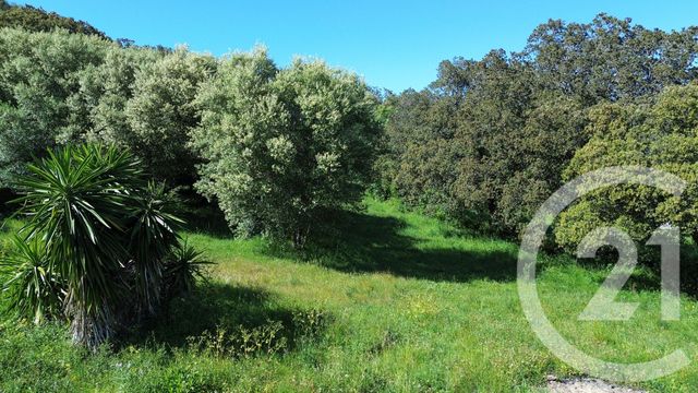 terrain - ROGLIANO - 202