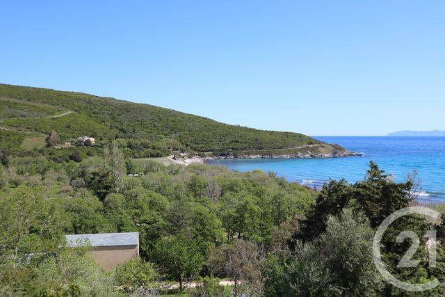 Afficher la photo en grand maison à vendre - 5 pièces - 200.0 m2 - CAGNANO - 20 - CORSE - Century 21 Jade Immobilier