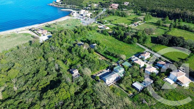 maison - PIETRACORBARA - 202