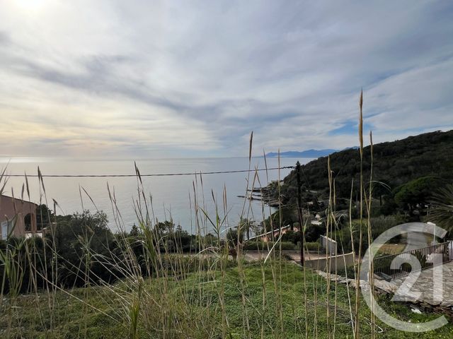 terrain à vendre - 1079.0 m2 - BRANDO - 202 - CORSE - Century 21 Jade Immobilier