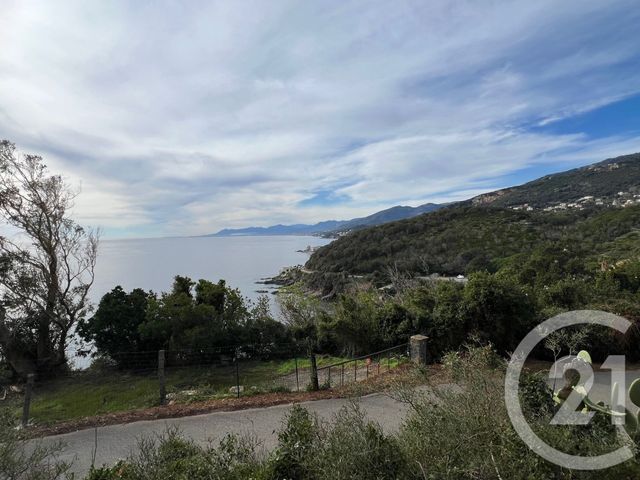 terrain à vendre - 1079.0 m2 - BRANDO - 202 - CORSE - Century 21 Jade Immobilier