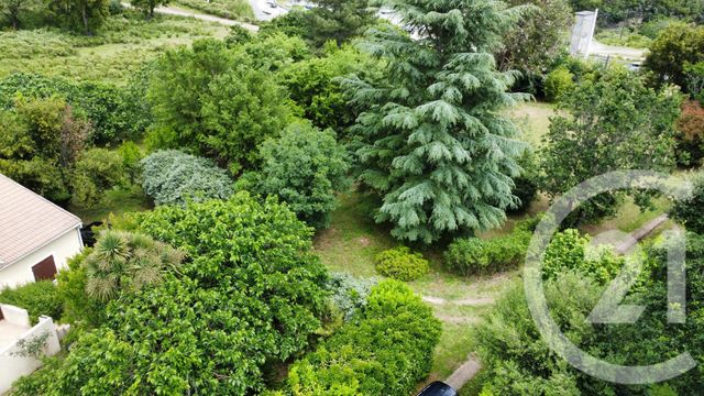 maison à vendre - 4 pièces - 136.0 m2 - VIGNALE - 202 - CORSE - Century 21 Jade Immobilier