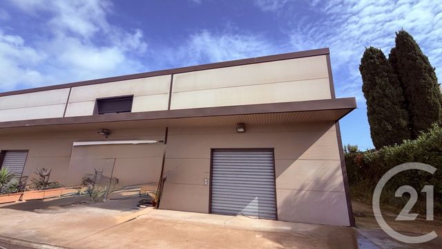  à vendre LINGUIZZETTA