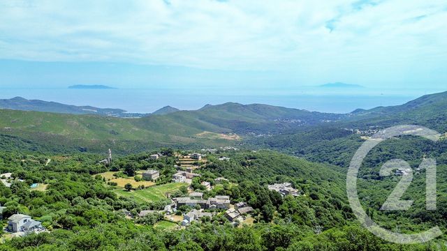 maison à vendre - 10 pièces - 528.0 m2 - SISCO - 202 - CORSE - Century 21 Jade Immobilier