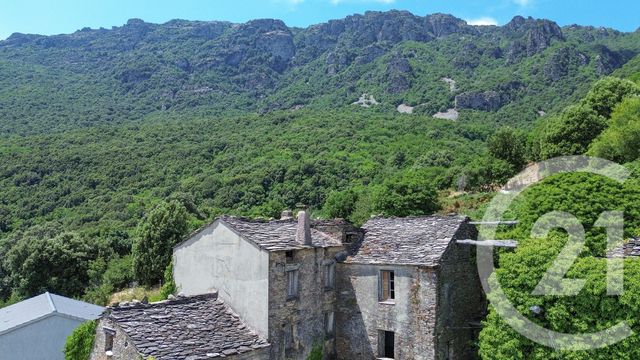 maison à vendre - 10 pièces - 528.0 m2 - SISCO - 202 - CORSE - Century 21 Jade Immobilier