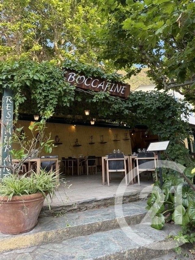  à vendre NONZA