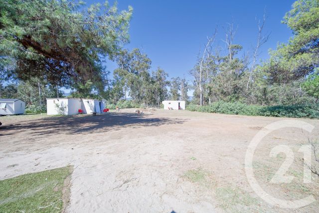maison à vendre - 6 pièces - 270.0 m2 - SORBO OCAGNANO - 202 - CORSE - Century 21 Jade Immobilier