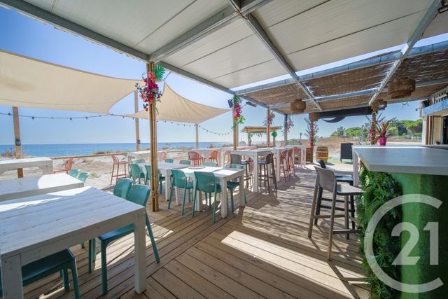 maison à vendre - 6 pièces - 270.0 m2 - SORBO OCAGNANO - 202 - CORSE - Century 21 Jade Immobilier