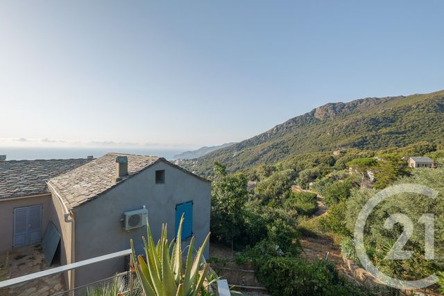 maison à vendre - 6 pièces - 115.0 m2 - MORSIGLIA - 202 - CORSE - Century 21 Jade Immobilier