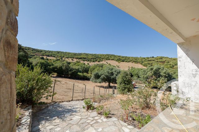 maison à vendre - 9 pièces - 167.0 m2 - SANTO PIETRO DI TENDA - 202 - CORSE - Century 21 Jade Immobilier