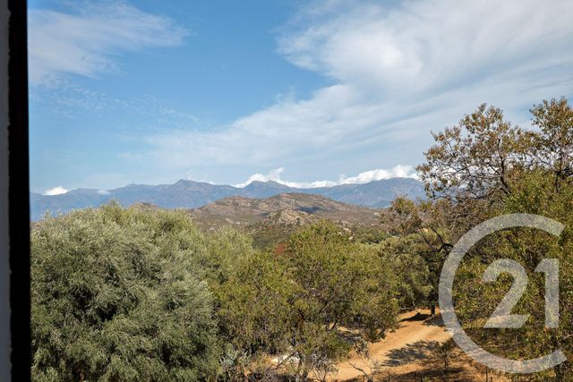 maison à vendre - 9 pièces - 167.0 m2 - SANTO PIETRO DI TENDA - 202 - CORSE - Century 21 Jade Immobilier