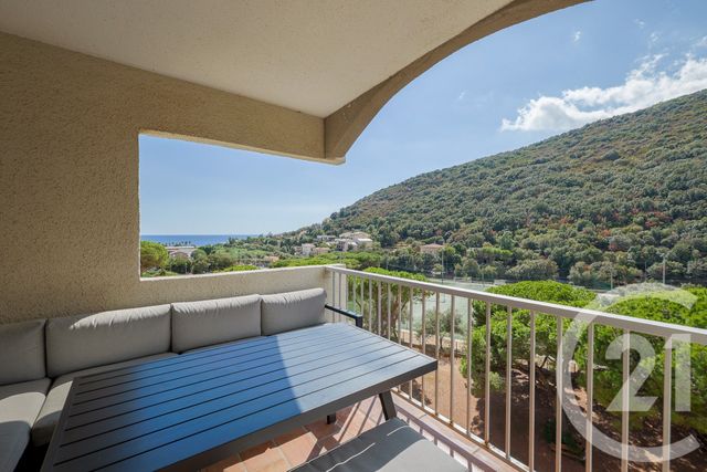 appartement - SANTA MARIA DI LOTA - 202