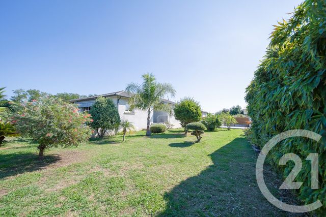 maison à vendre - 4 pièces - 94.26 m2 - SANTA LUCIA DI MORIANI - 202 - CORSE - Century 21 Jade Immobilier