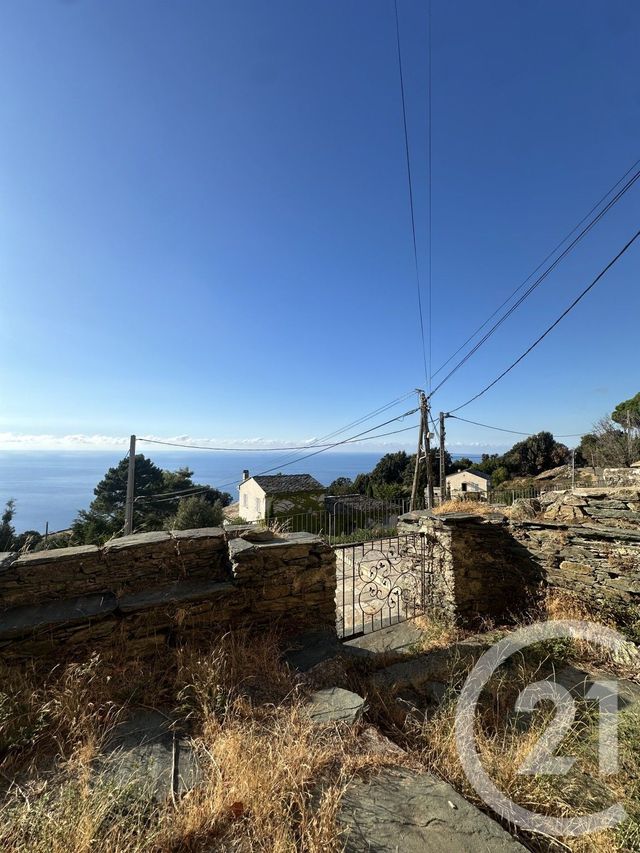 maison à vendre - 21 pièces - 400.0 m2 - CANARI - 202 - CORSE - Century 21 Jade Immobilier