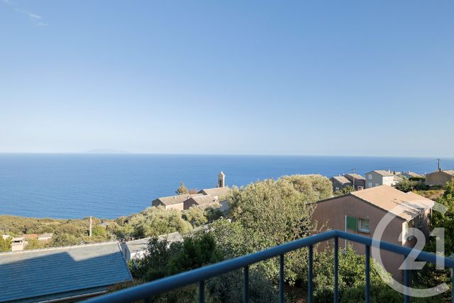 appartement - BRANDO - 202