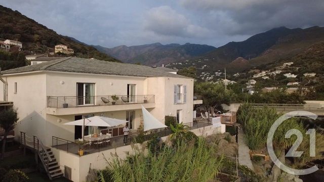maison à vendre - 5 pièces - 165.0 m2 - SANTA MARIA DI LOTA - 202 - CORSE - Century 21 Jade Immobilier