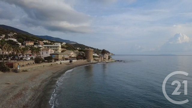 maison à vendre - 5 pièces - 165.0 m2 - SANTA MARIA DI LOTA - 202 - CORSE - Century 21 Jade Immobilier