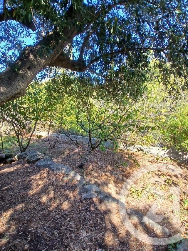 maison à louer - 3 pièces - 49.3 m2 - SISCO - 202 - CORSE - Century 21 Jade Immobilier