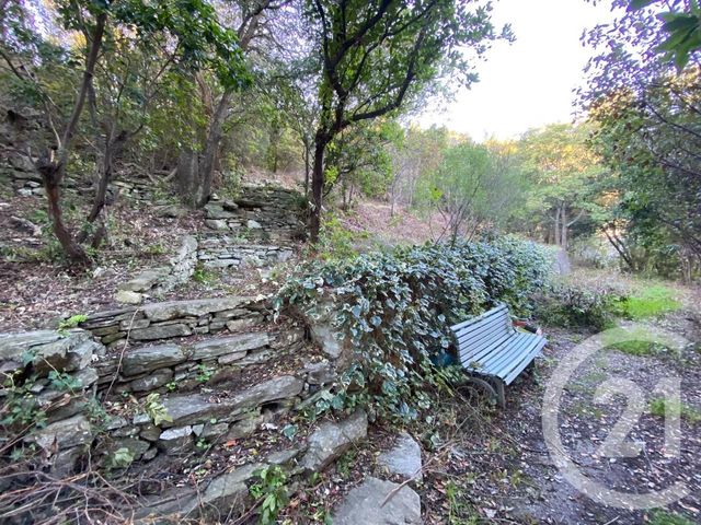 terrain à vendre - 867.0 m2 - SANTA MARIA DI LOTA - 20 - CORSE - Century 21 Jade Immobilier